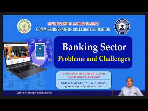 Banking Sector Problems and Challenges